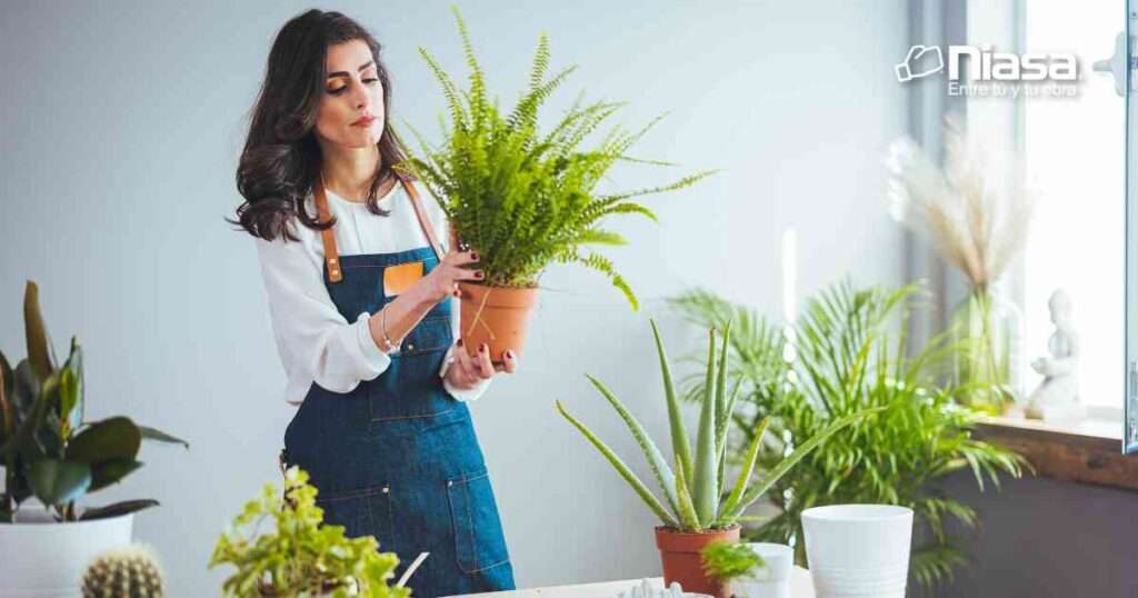 Cómo crear y mantener un jardín en casa