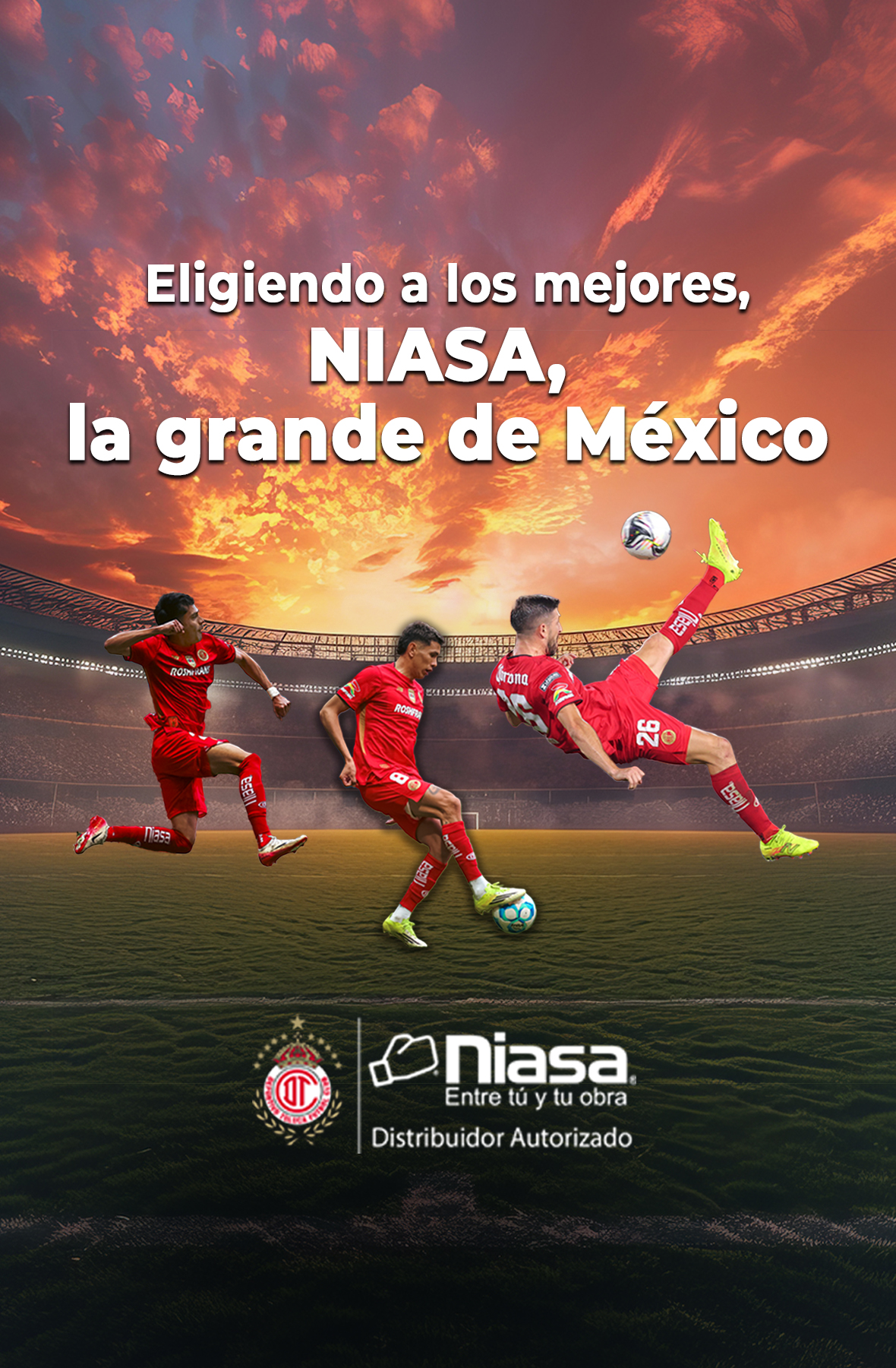 Toluca_Web_Banner_VERTICAL